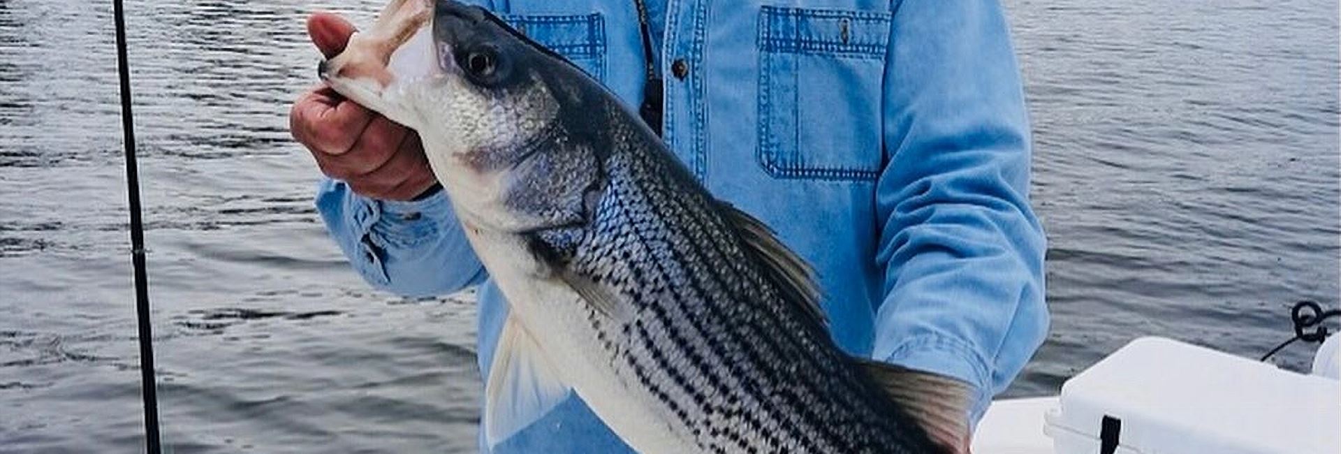 best fishing guide on lake murray