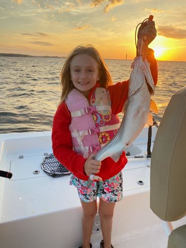 best irmo sc striper fishing guide