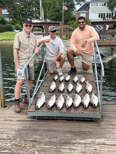 columbia sc striper fishing guide